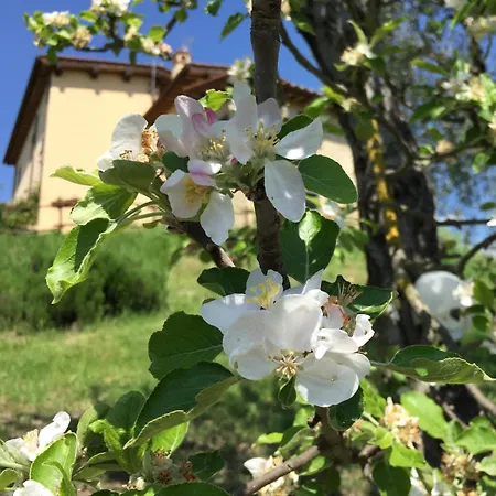 Βίλα Sabina Essence Di Charme Selci (Lazio)